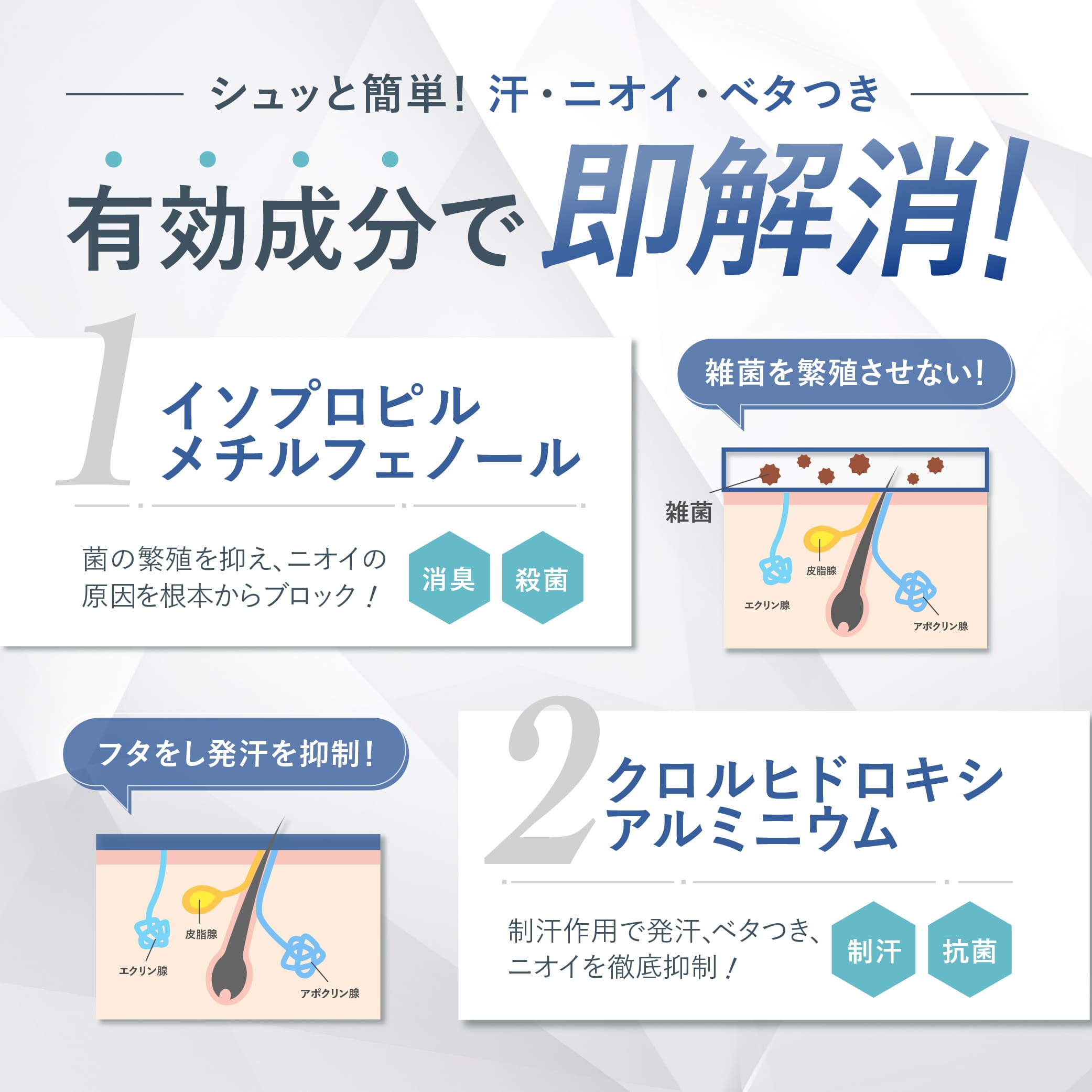商品紹介