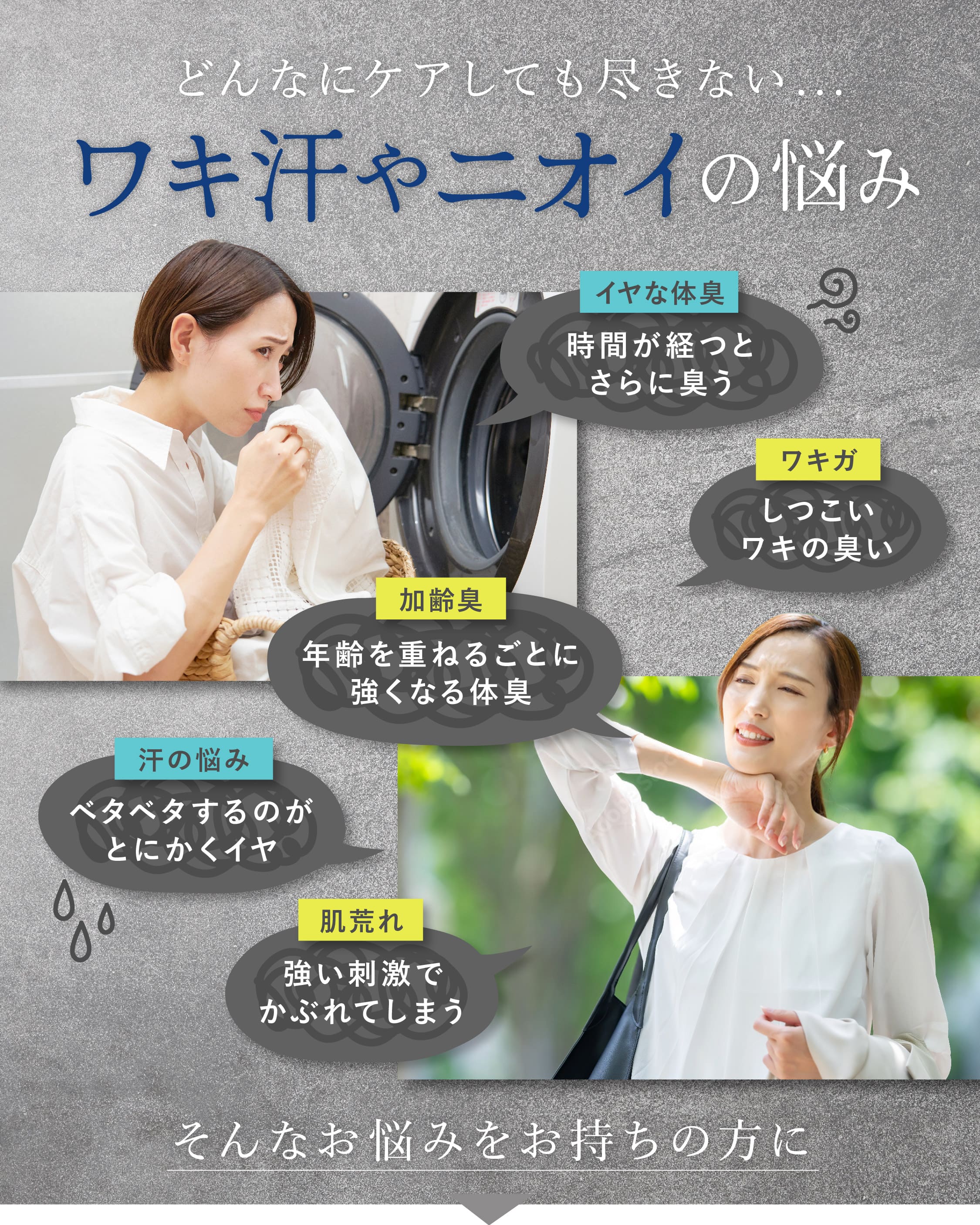 商品紹介