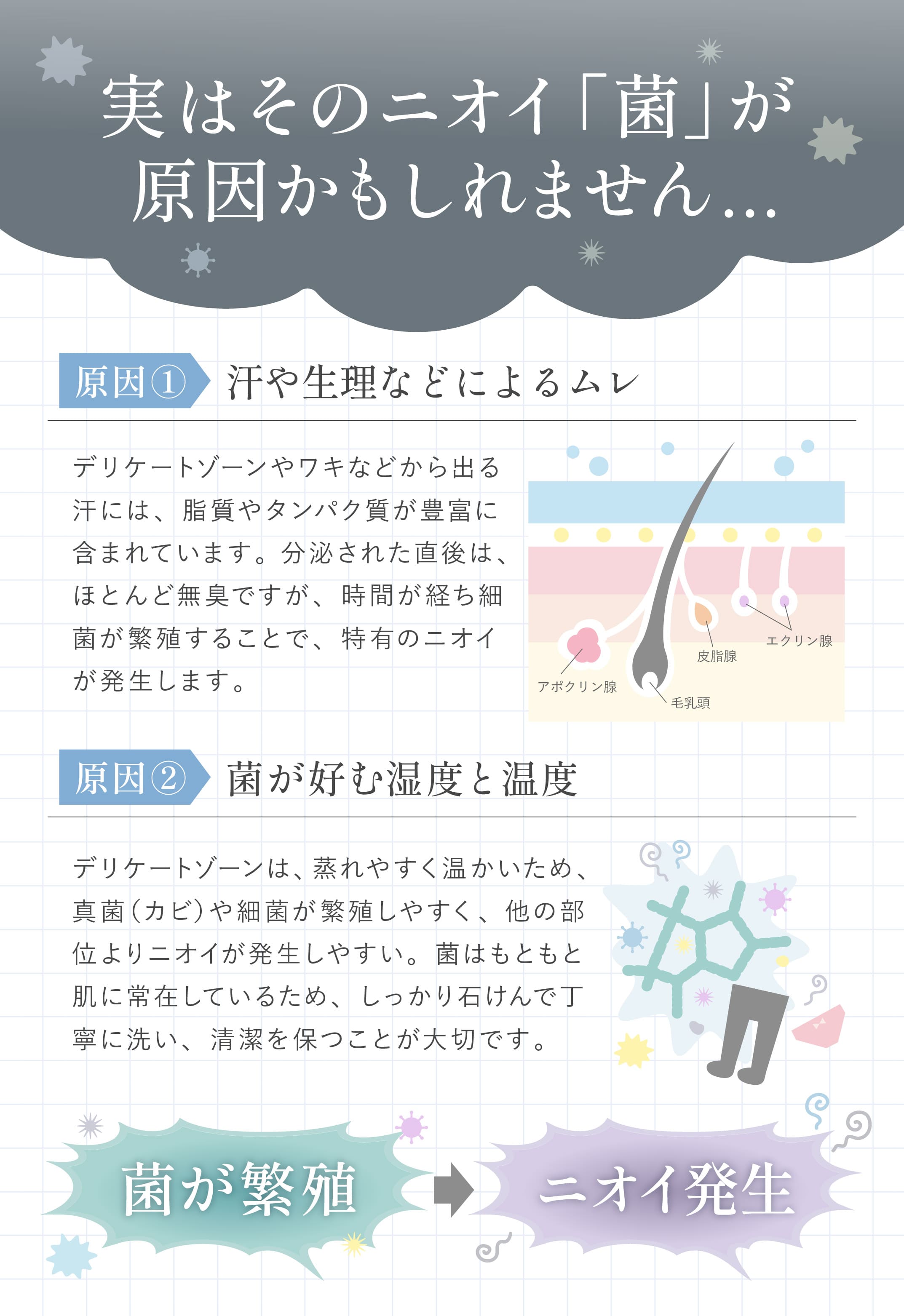 商品紹介