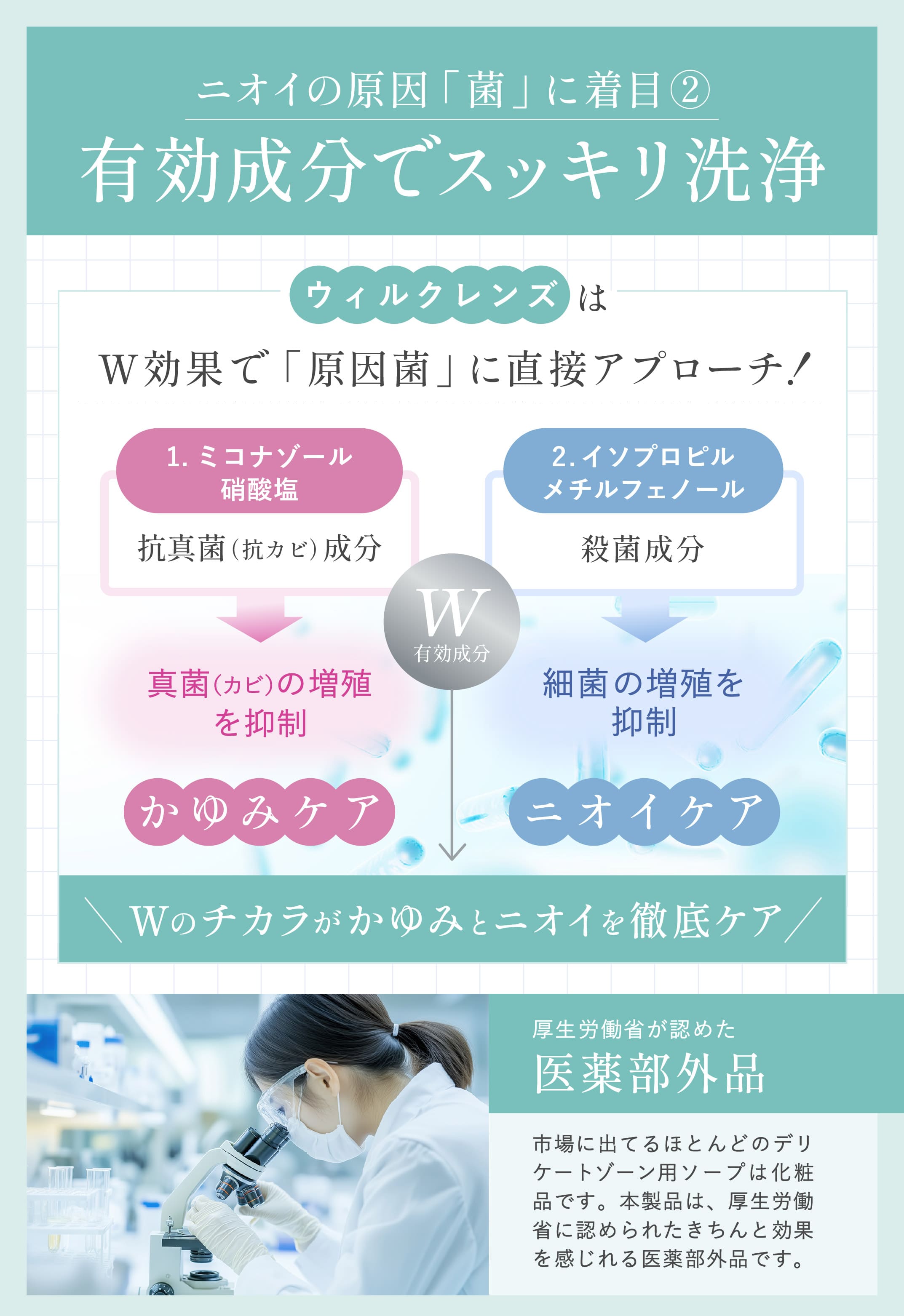 商品紹介