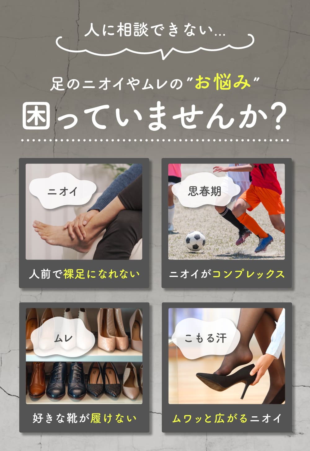 商品紹介