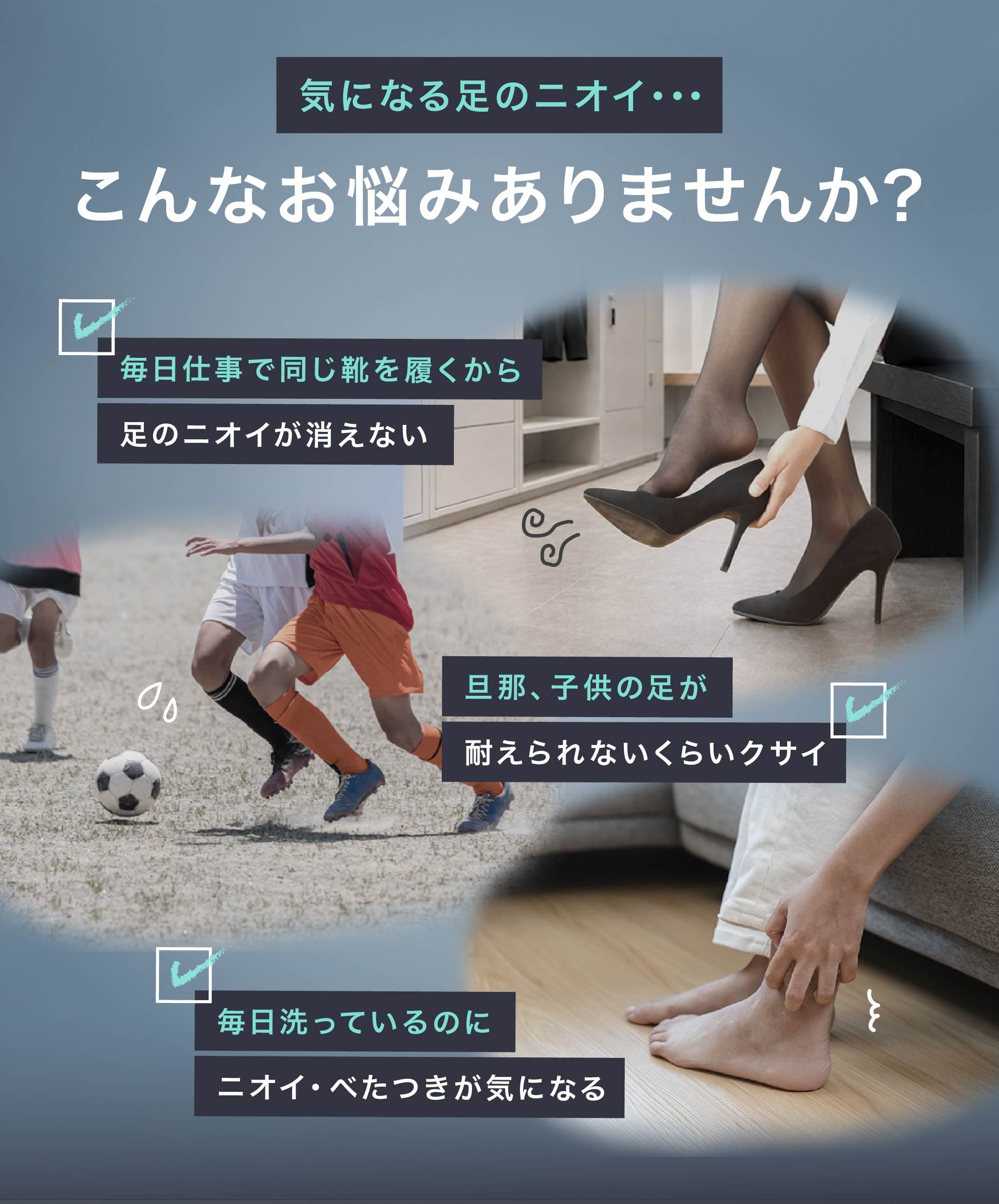 商品紹介