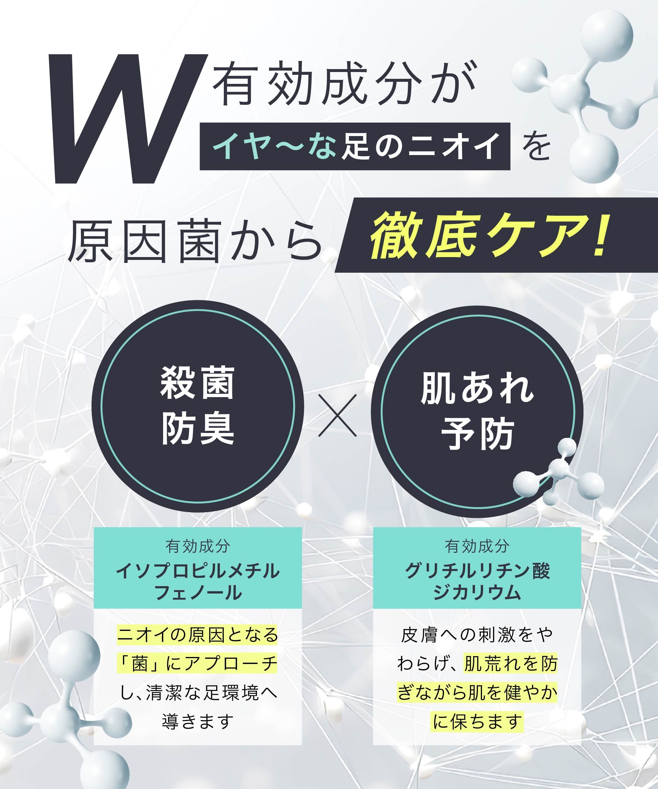 商品紹介