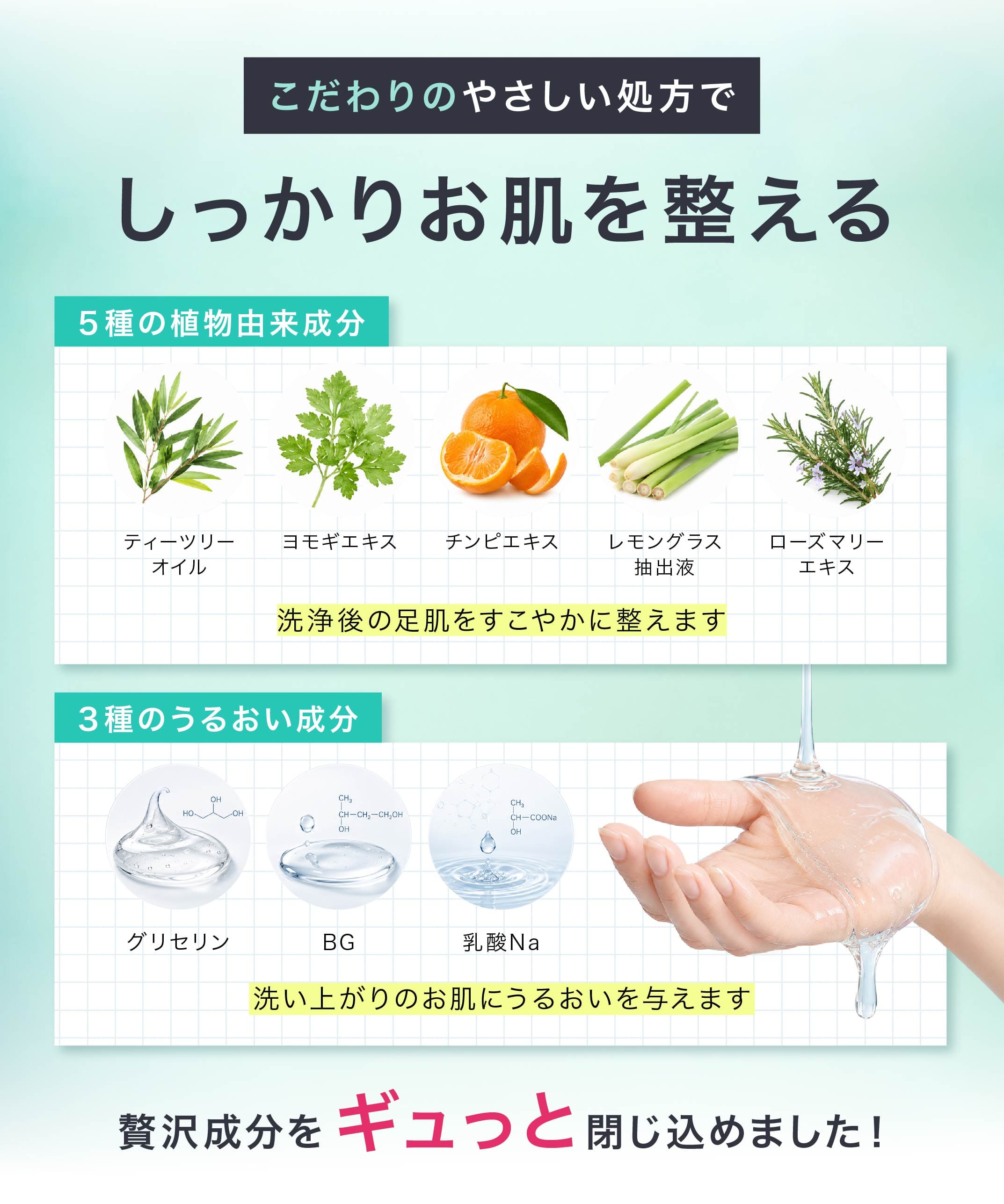 商品紹介