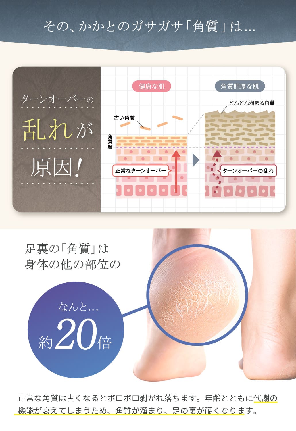 商品紹介