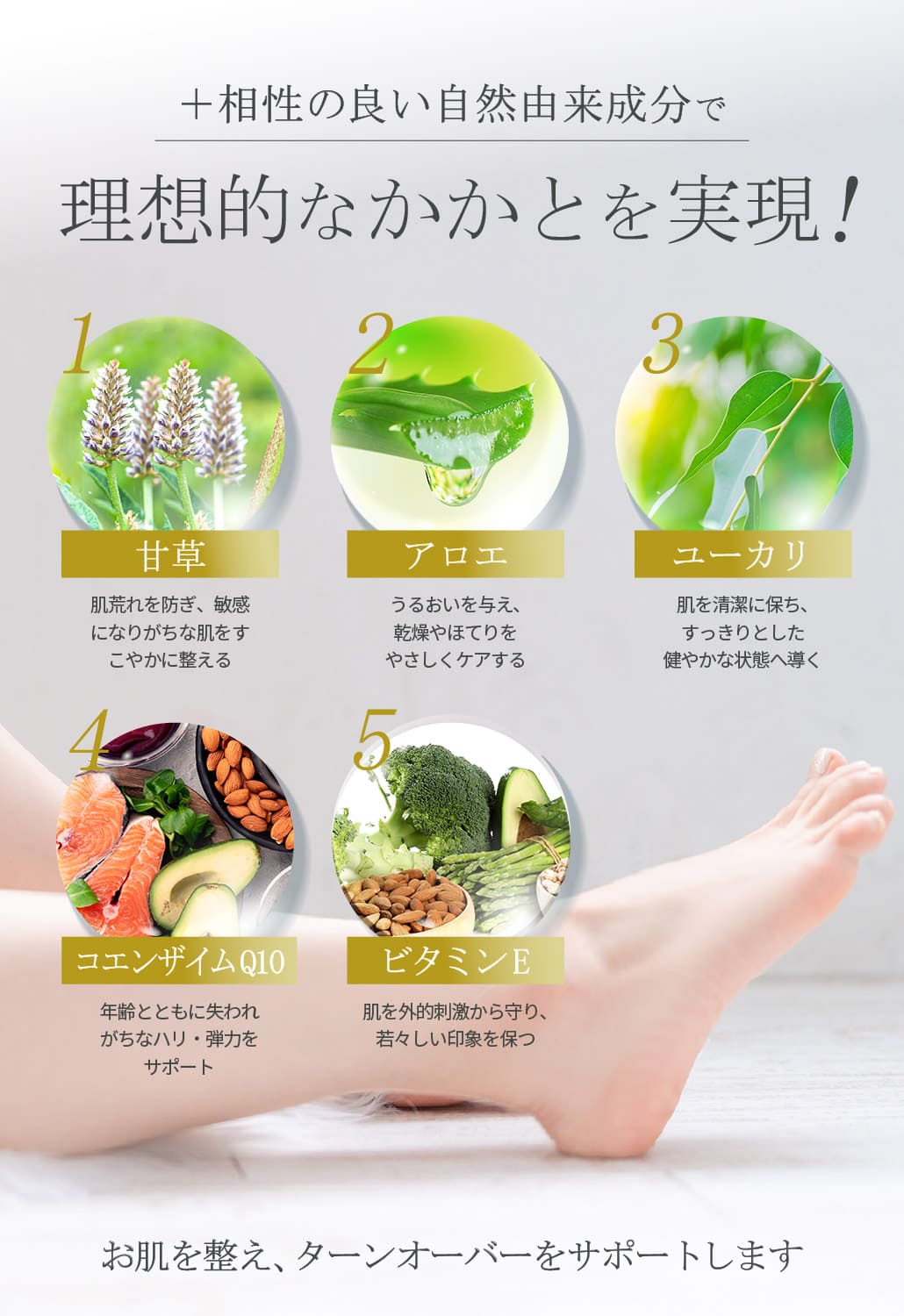 商品紹介