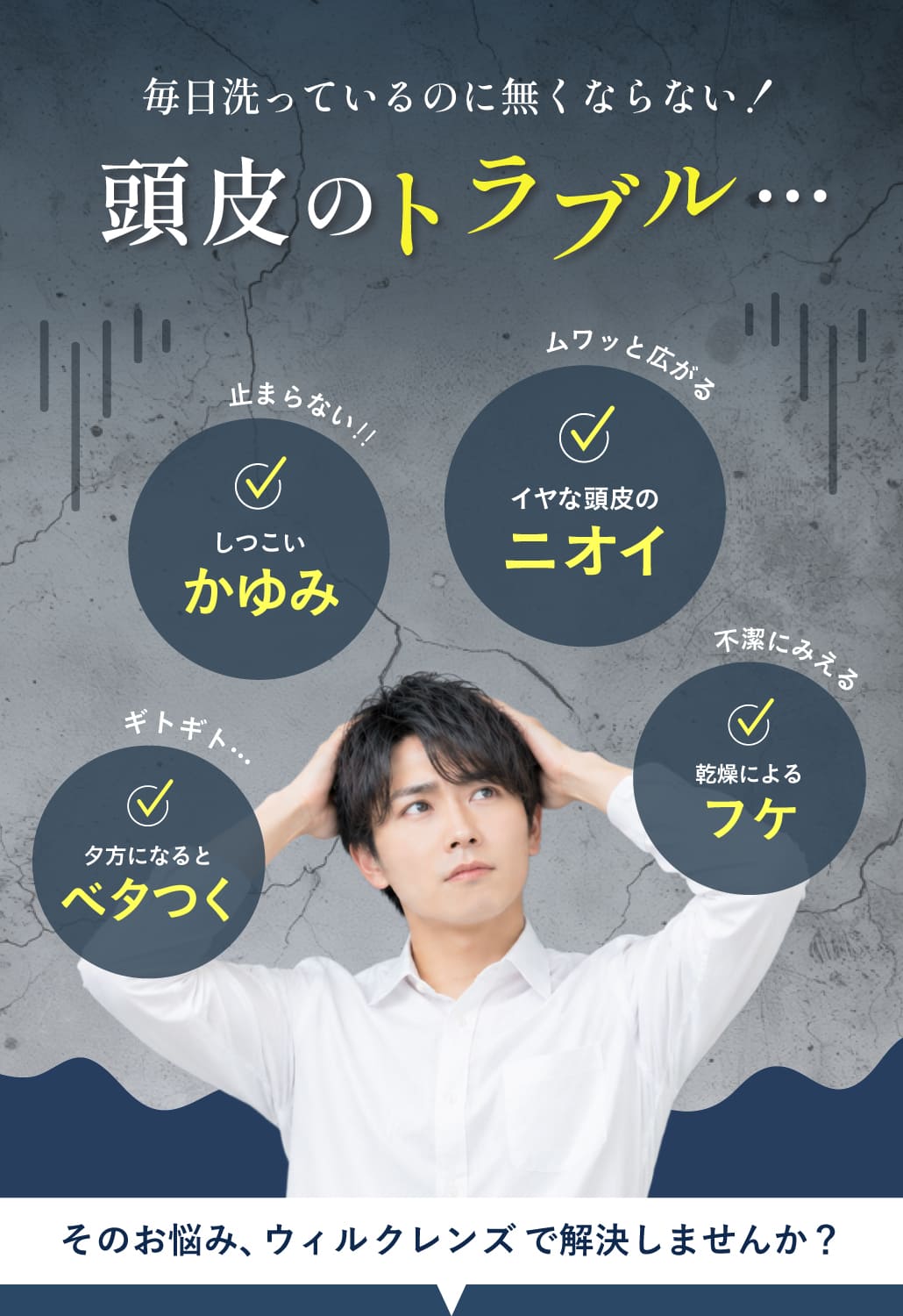 商品紹介