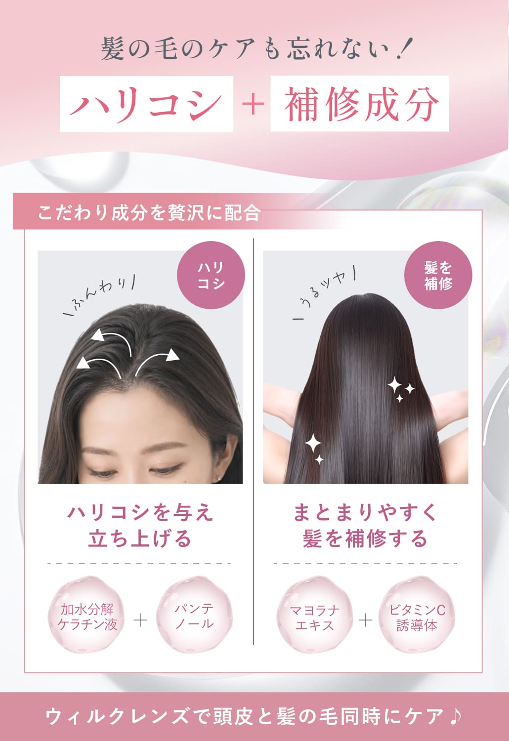 商品紹介