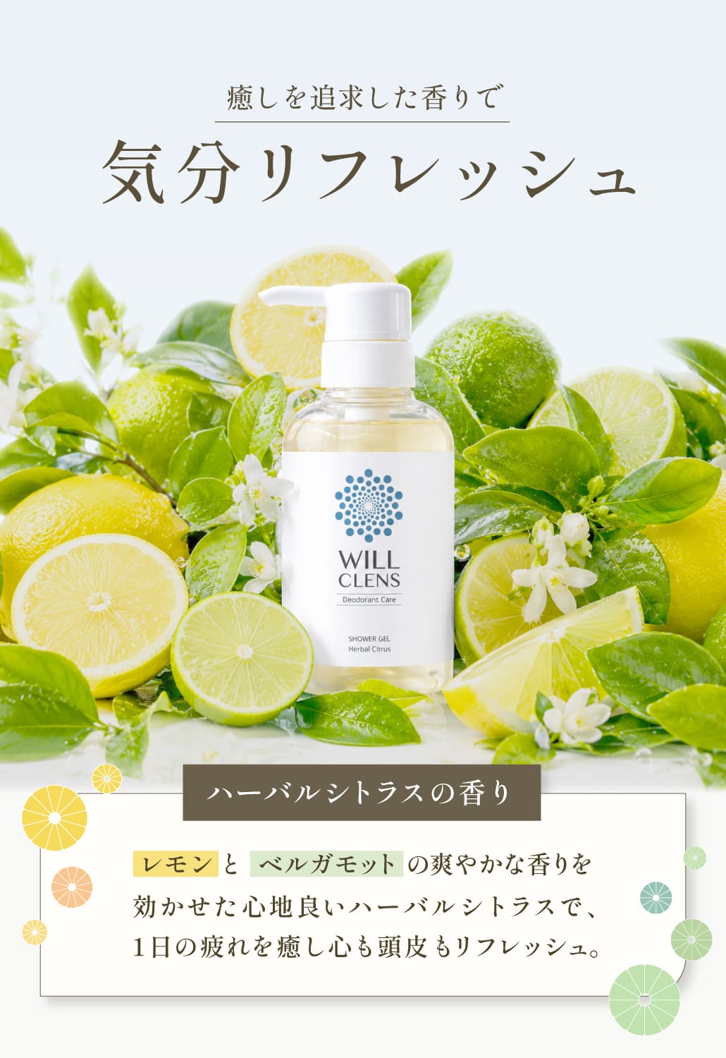 商品紹介