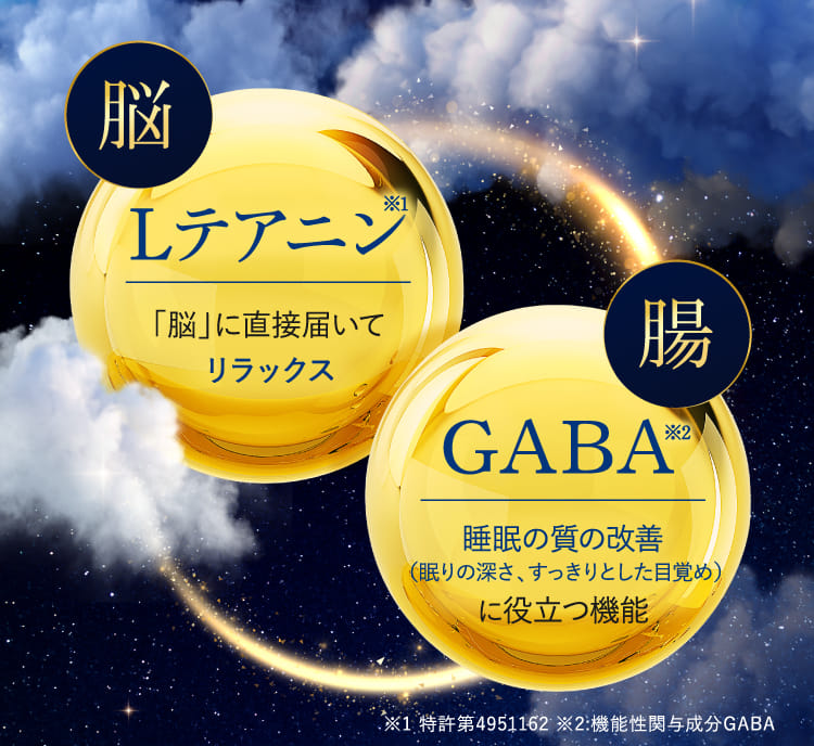 Lテアニン「腸に直接届いてリラックス」 GABA睡眠の質の改善（眠りの深さ、すっきりとした目覚め）に役立つ機能