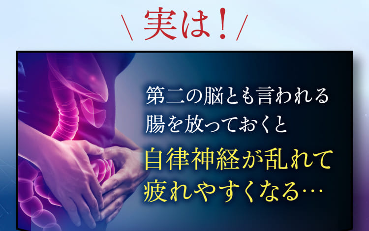 実は！第二の脳とも言われる腸を放っておくと自律神経が乱れて疲れやすくなる…