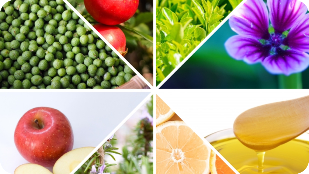 ダミーです。ひんやりとした新感覚ケア