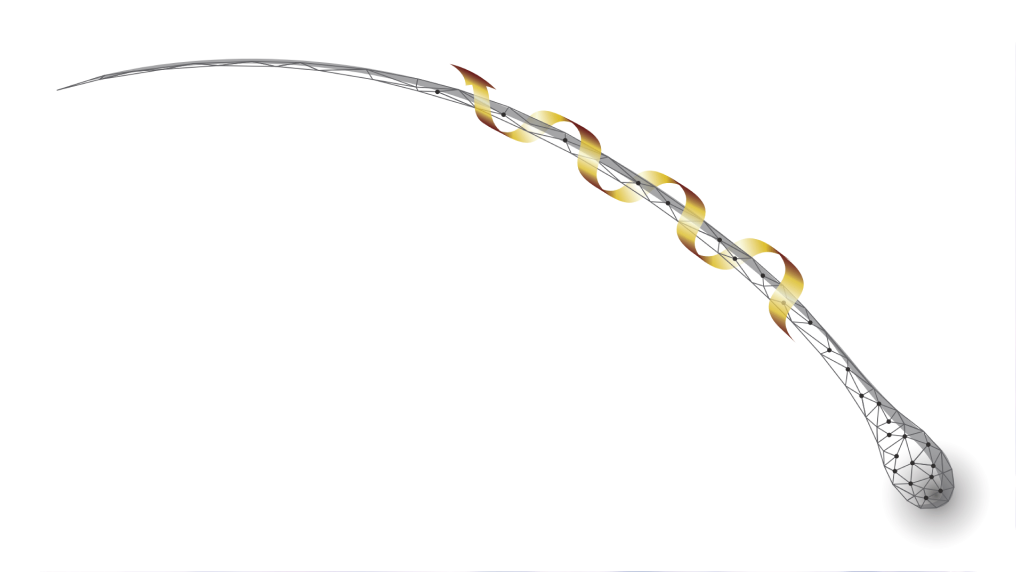 汗・皮脂・乾燥のトータル対策