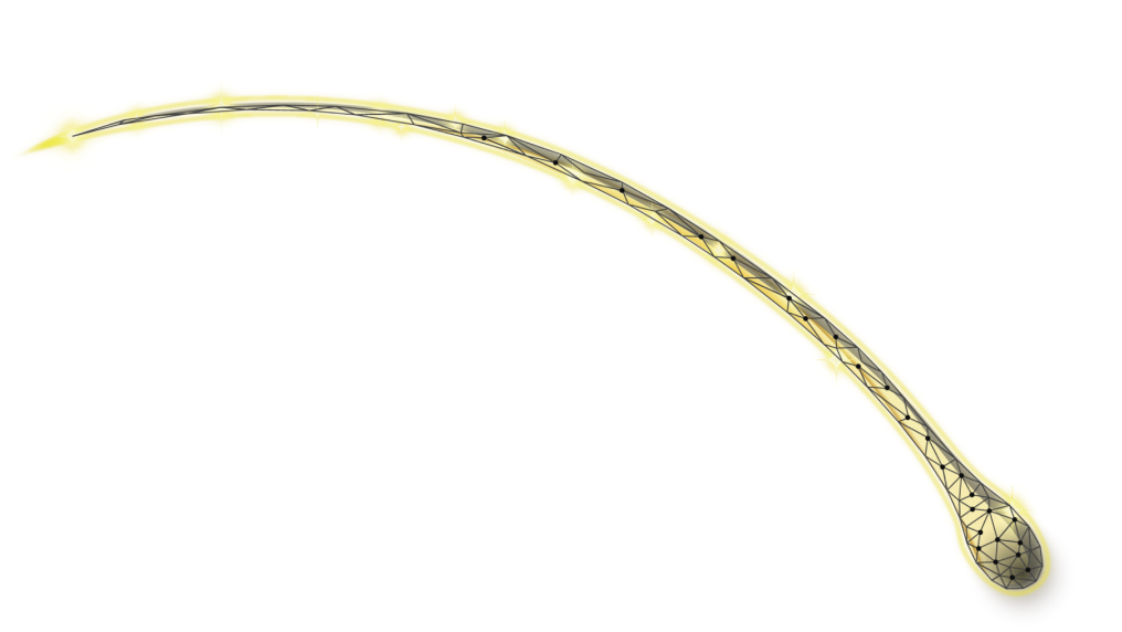 ライフスタイルに寄り添う多彩なラインナップ