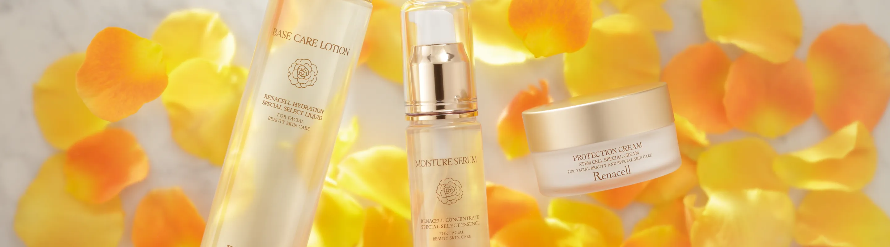 renacellのブランドイメージ