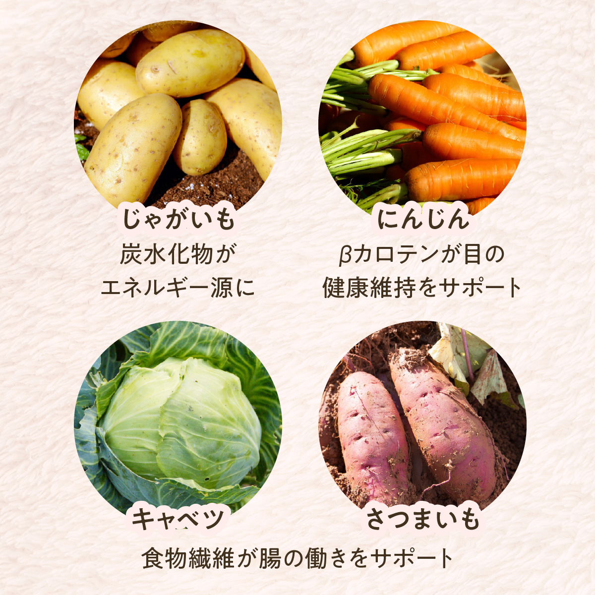 SOPRA プレミアムドッグフード お試しサイズ（50g）