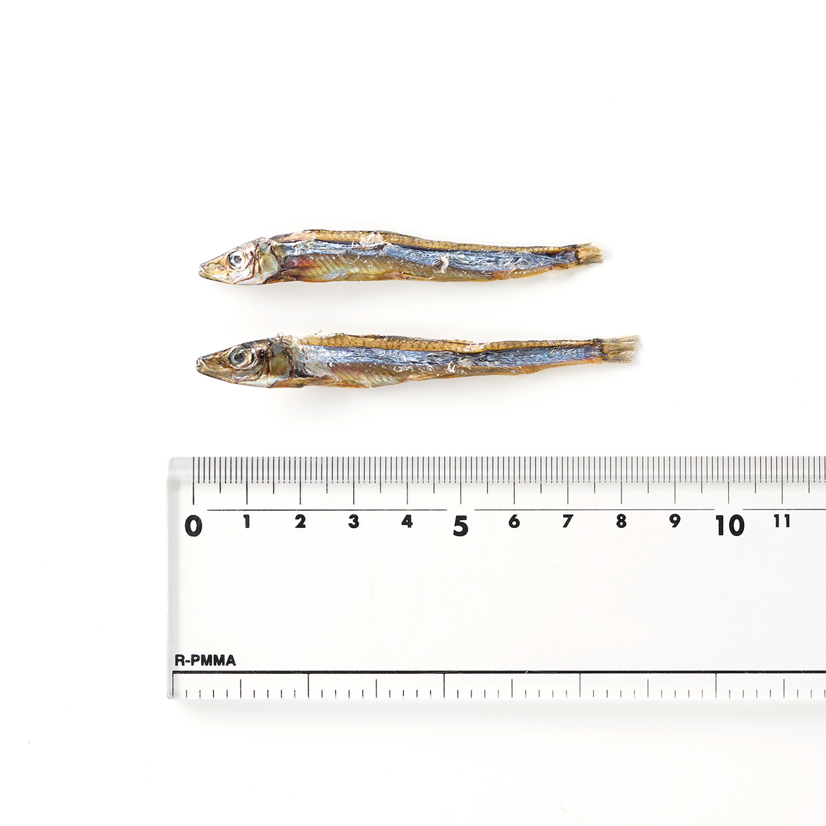 SOPRAおやつ きびなご