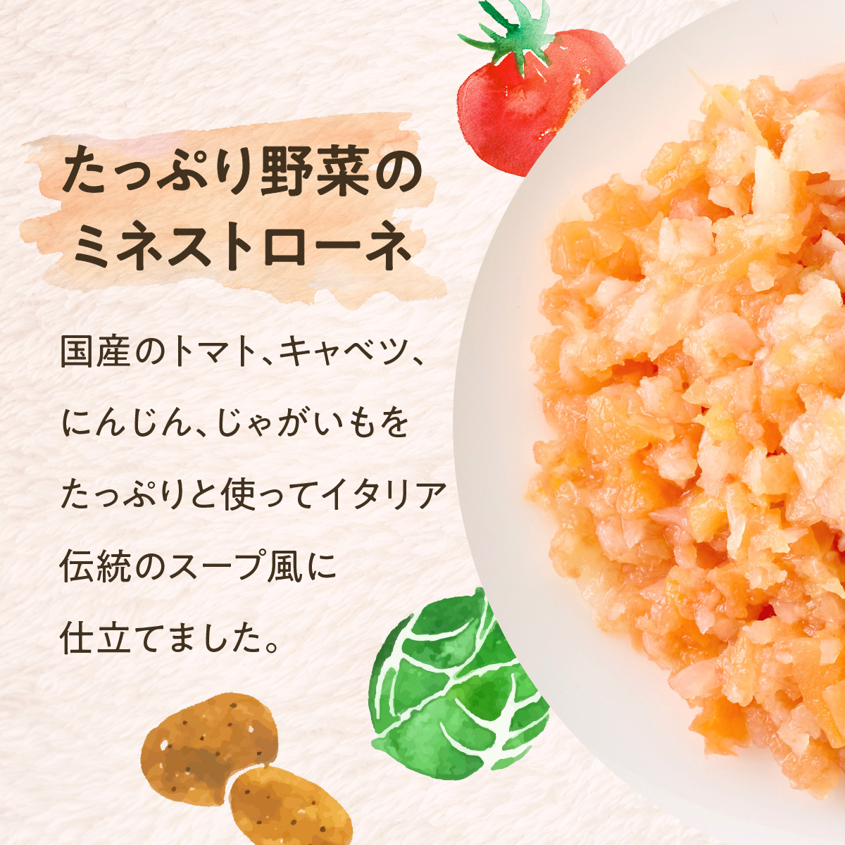たっぷり野菜のミネストローネ