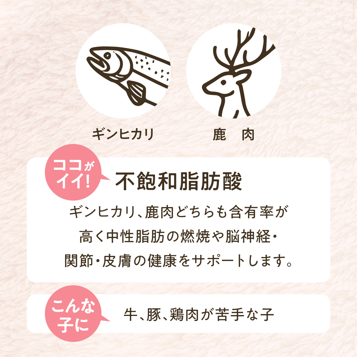 SOPRA プレミアムドッグフード 詰め替え用 (160g) 個数: 1袋(160g)