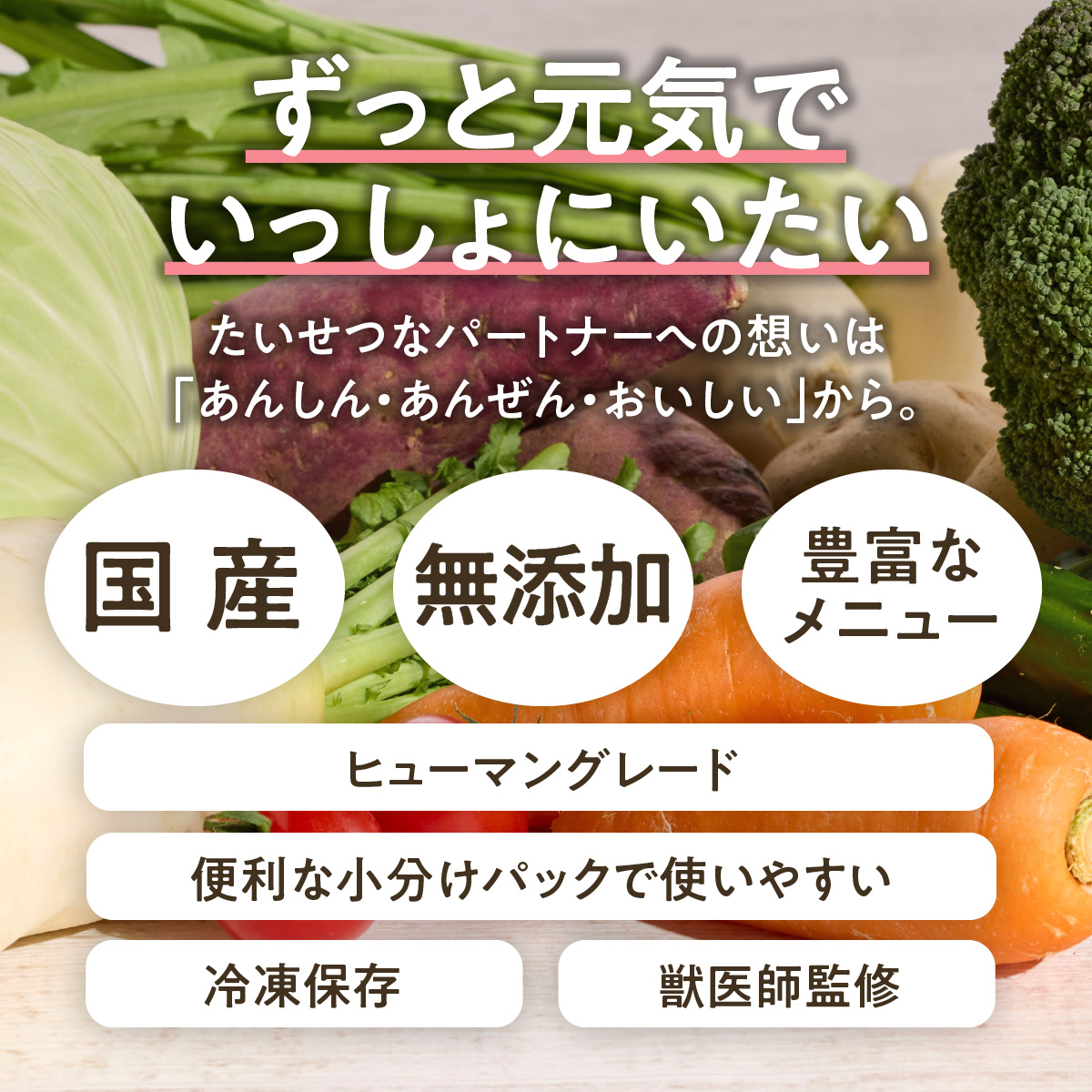 おまかせ野菜5種の定期便