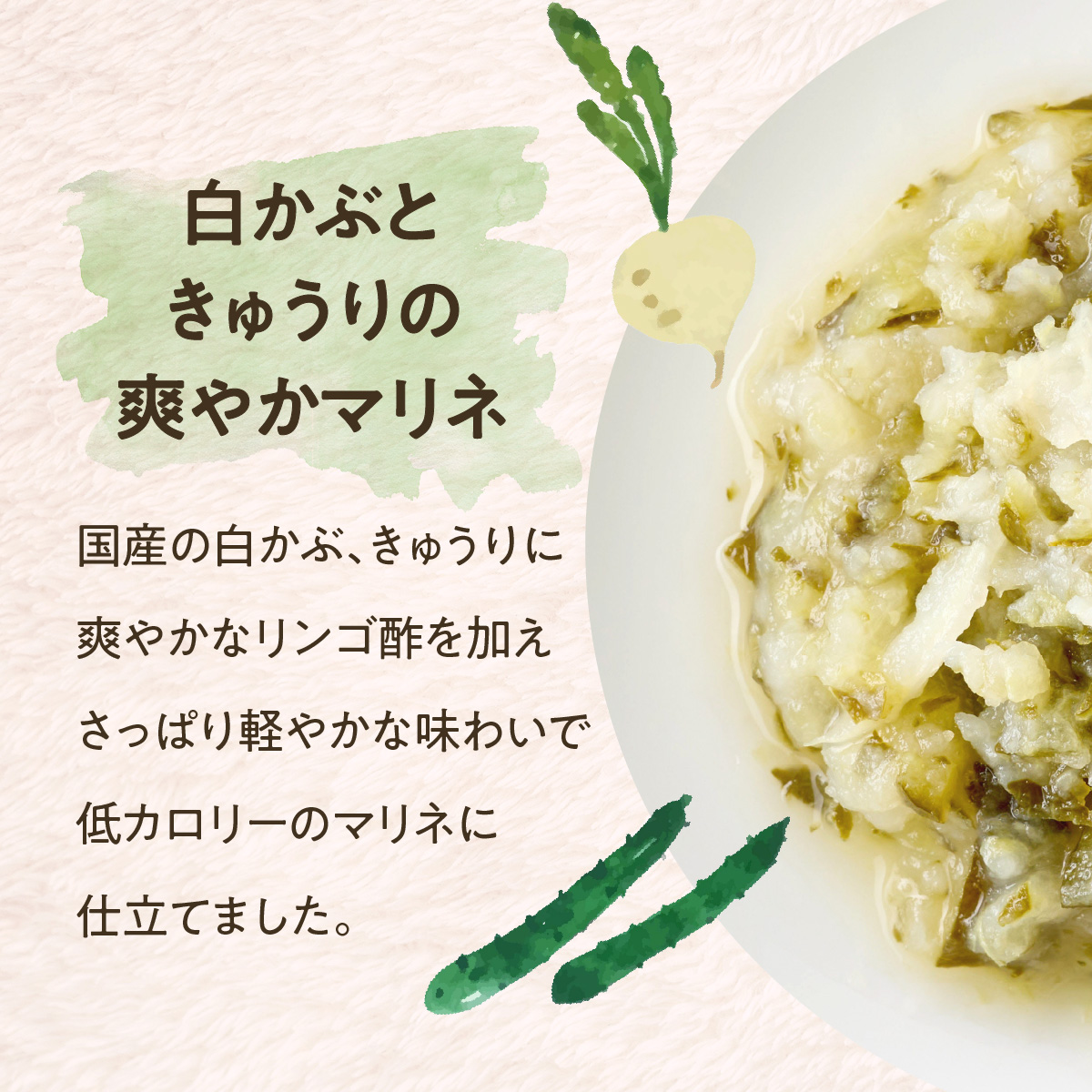 おまかせ野菜5種の定期便