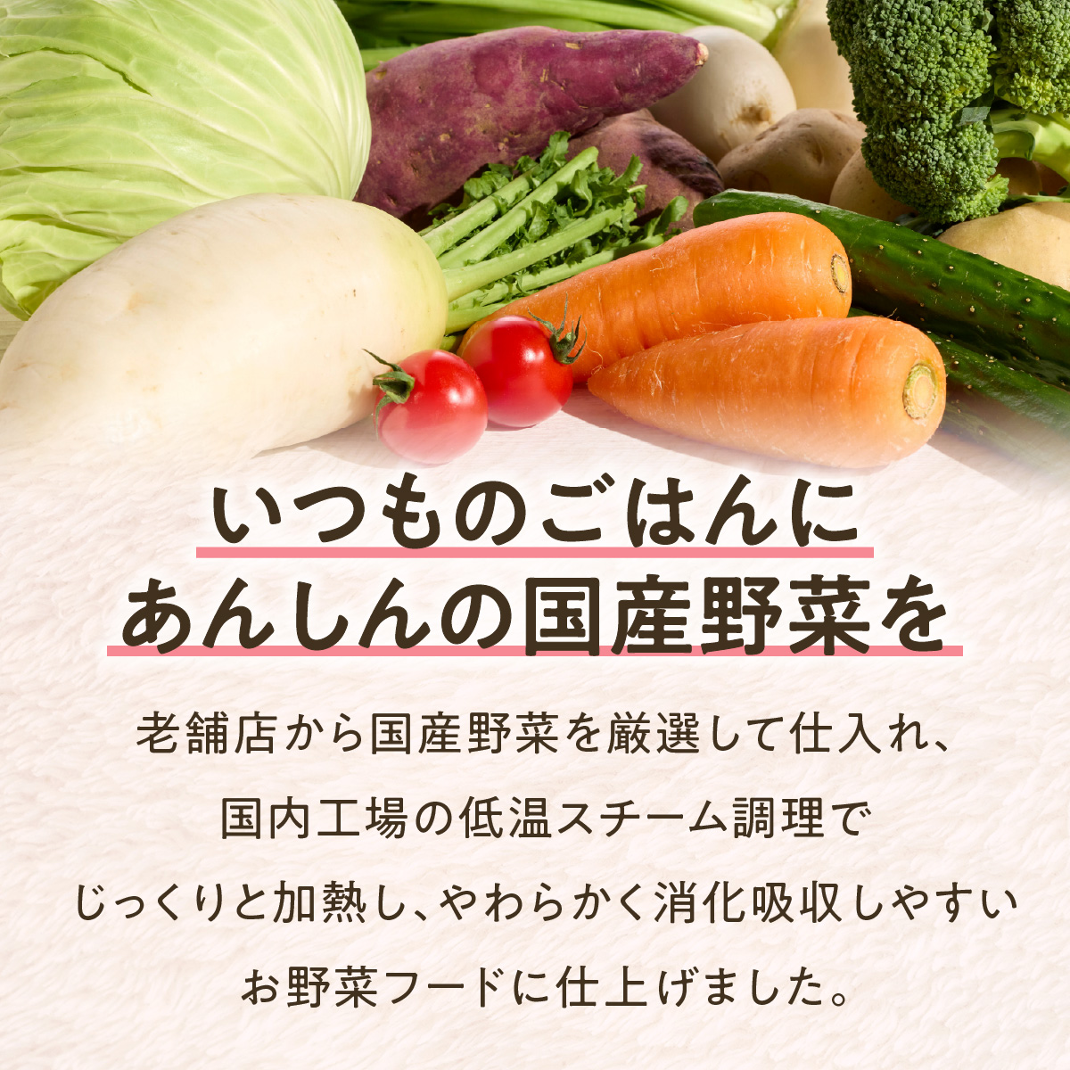 ごろごろ野菜のじっくり煮込み