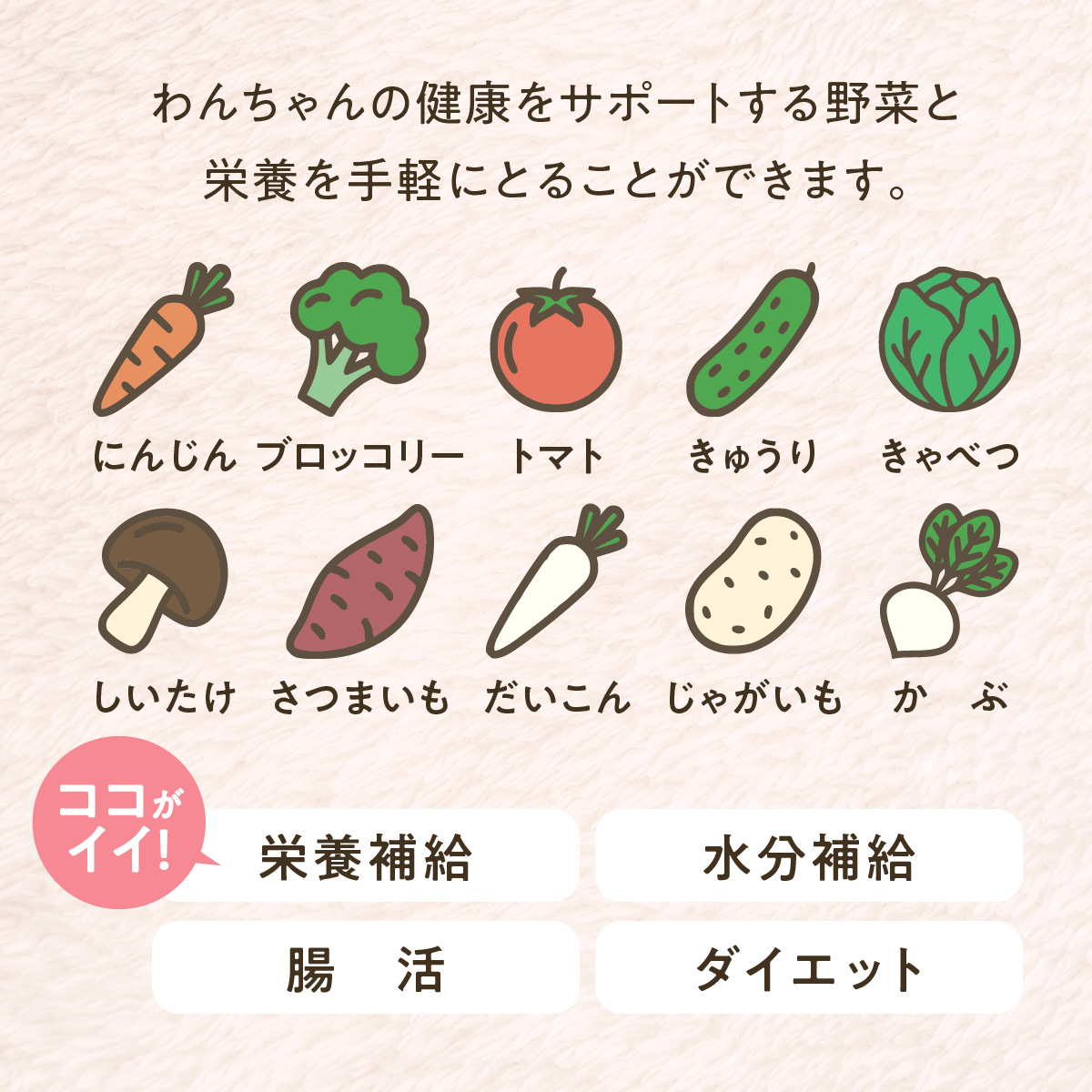 おまかせ野菜5種の定期便
