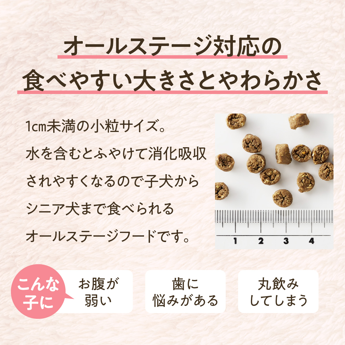 SOPRA プレミアムドッグフードの定期便　詰め替え用（160g）×5袋