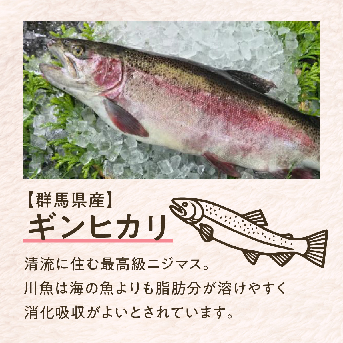 SOPRA プレミアムドッグフード お試しサイズ（50g）