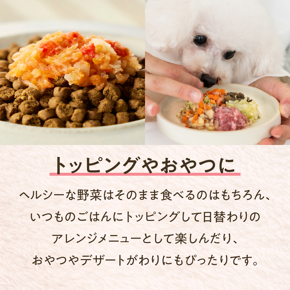 かつおと大根のコトコト煮
