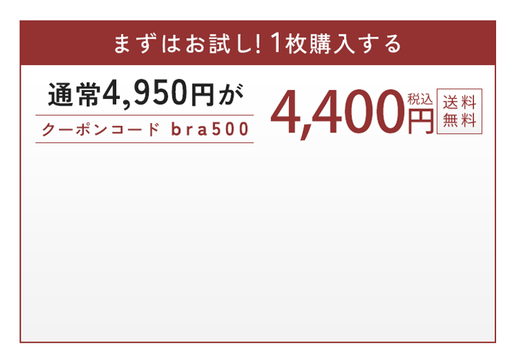 まずはお試し！1枚購入する