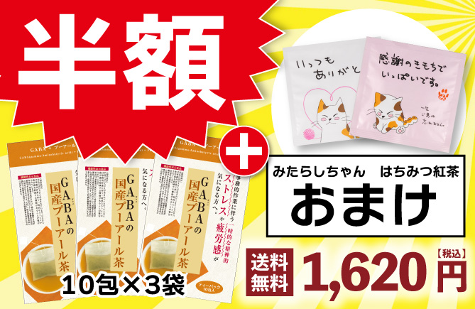 国産プーアール茶（2g×30包）2袋+みたらしちゃんプレゼント