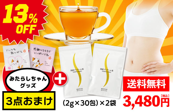 国産プーアール茶（2g×30包）2袋+みたらしちゃんプレゼント