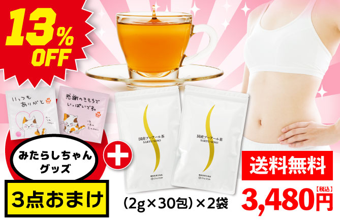 国産プーアール茶2袋+みたらしちゃん