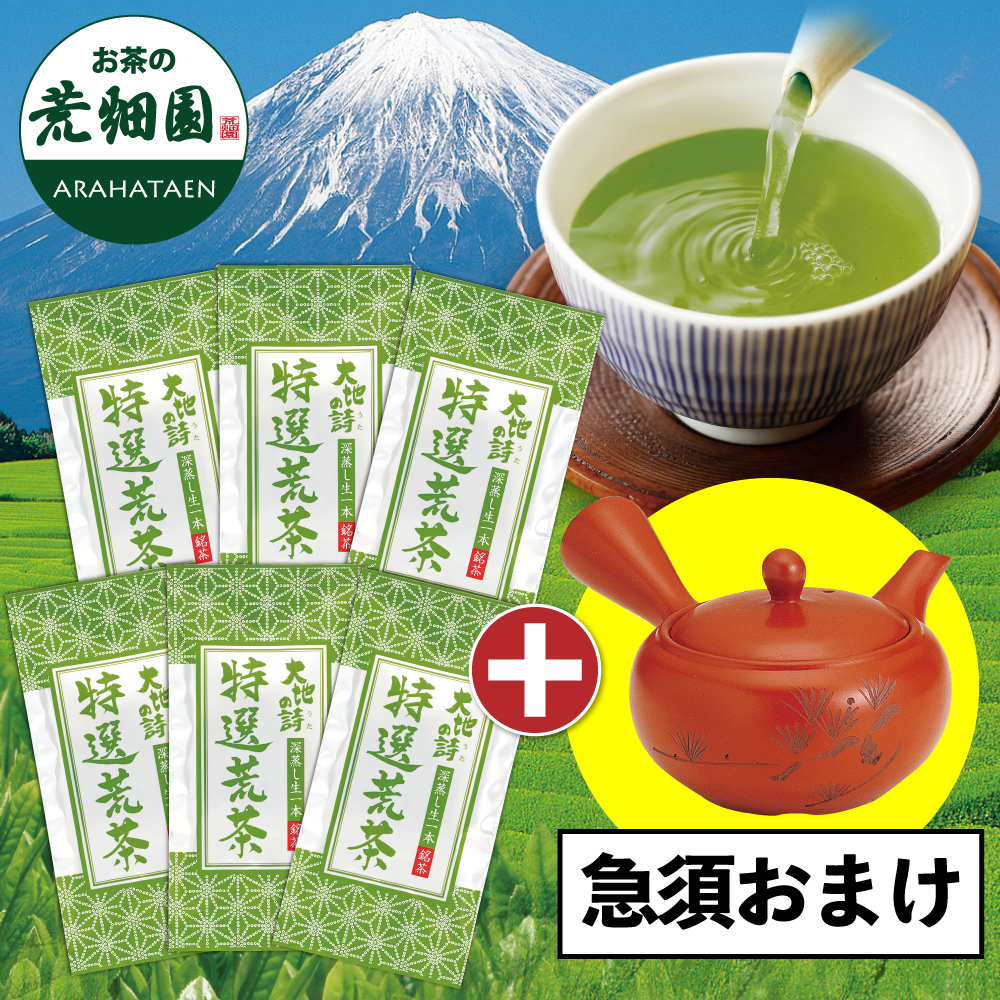 特選荒茶6袋+帯網急須おまけ