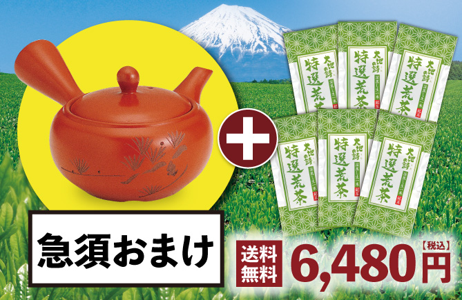特選荒茶6袋+帯網急須おまけ