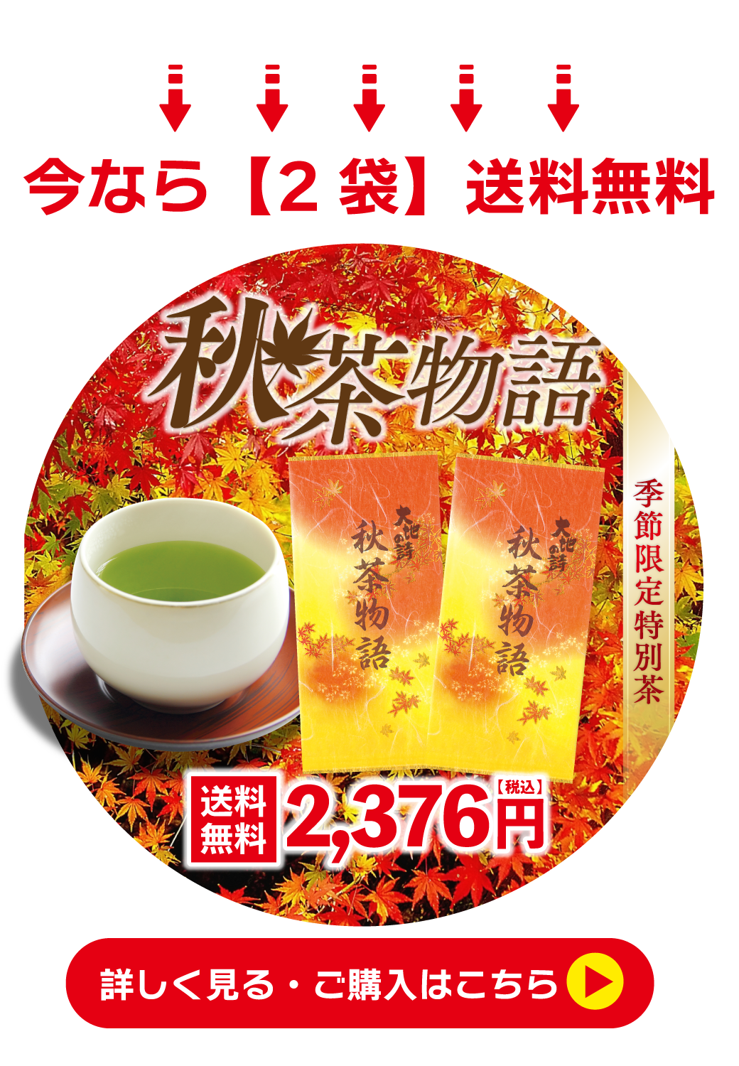 秋茶物語2袋送料無料