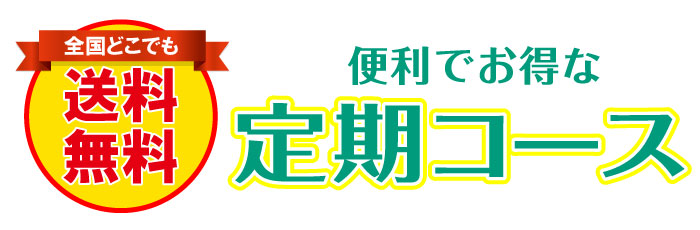 定期コースについて