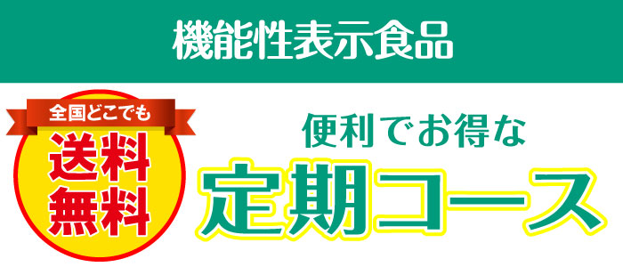 定期コースについて