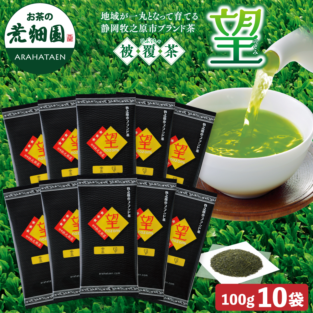 望金印(100g) 10袋セット 送料無料　