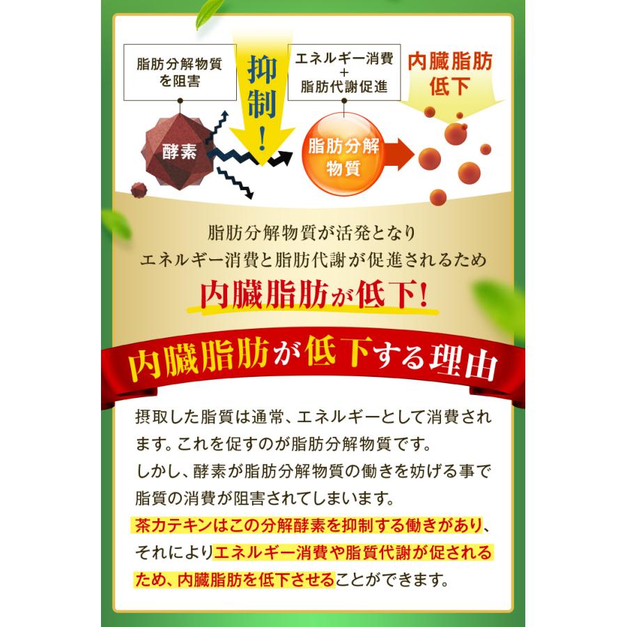 ■ハガキ 10％OFF たっぷりカテキン緑茶200g 2袋セット 送料無料　