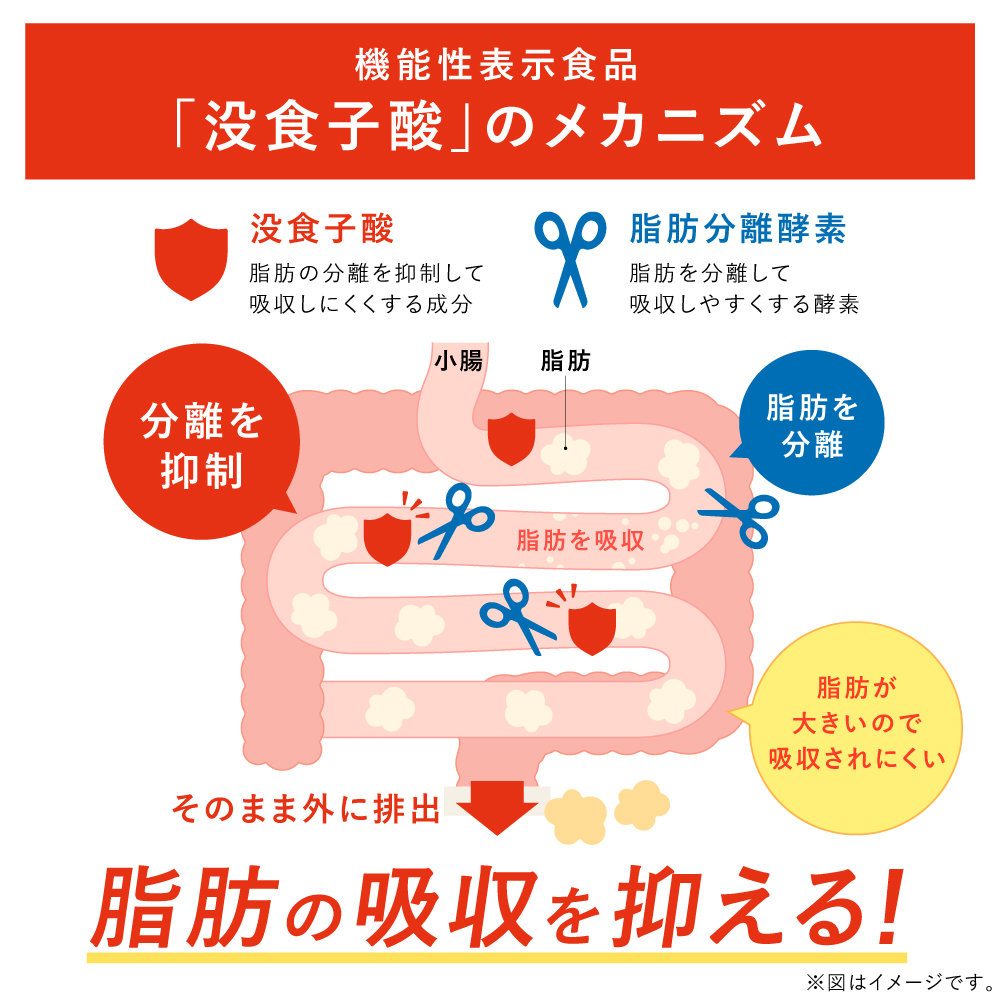 ■20%OFF 国産プーアール茶 SARYU-SOSO 5g×30包 送料無料　