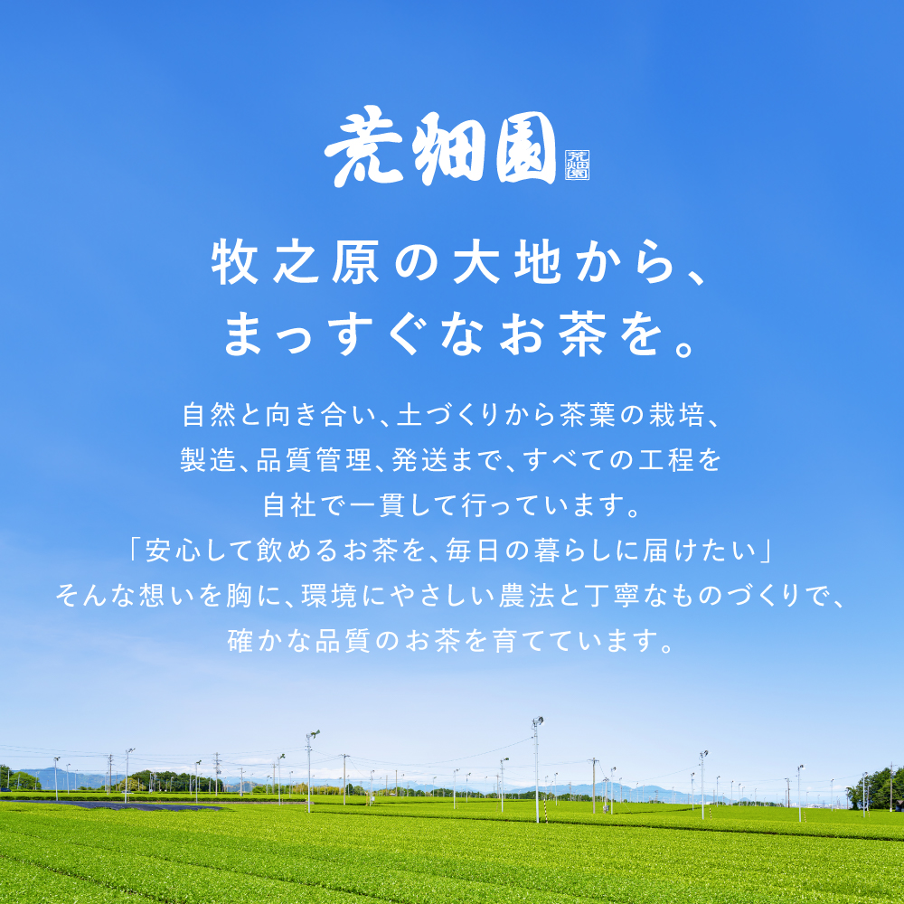■20%OFF 国産プーアール茶 SARYU-SOSO 5g×30包 送料無料　