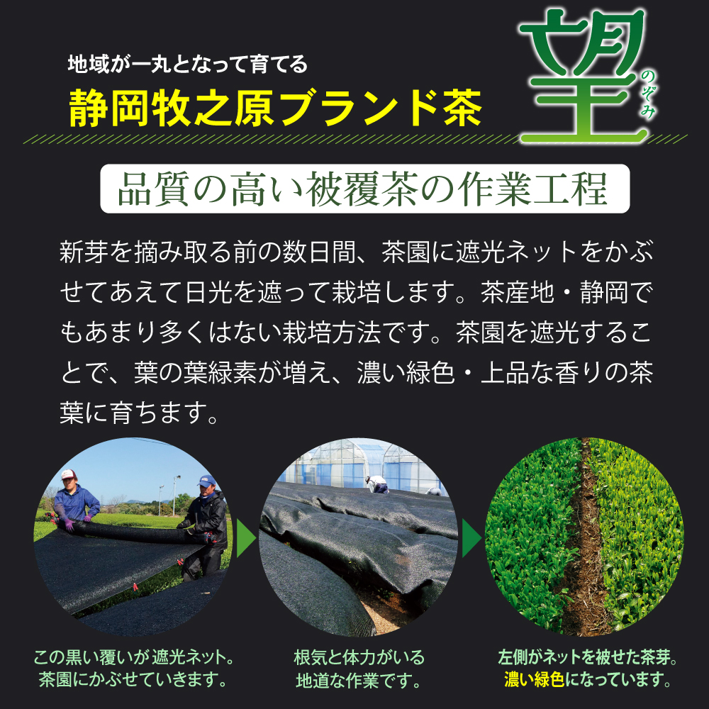 15%OFF 望 金印 12袋セット 送料無料