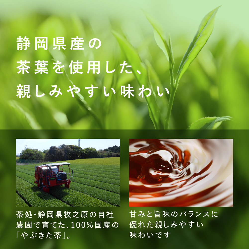 ■20%OFF 国産プーアール茶 SARYU-SOSO 5g×30包 送料無料　