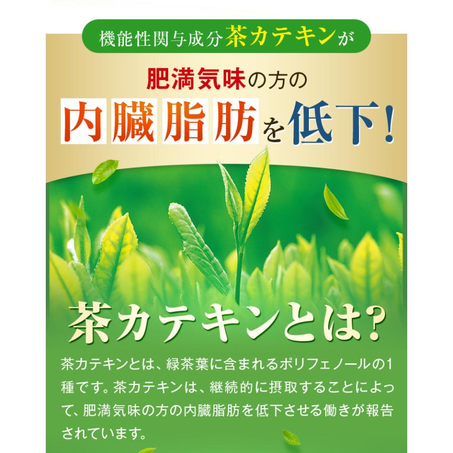 ■ハガキ 10％OFF たっぷりカテキン緑茶200g 2袋セット 送料無料　
