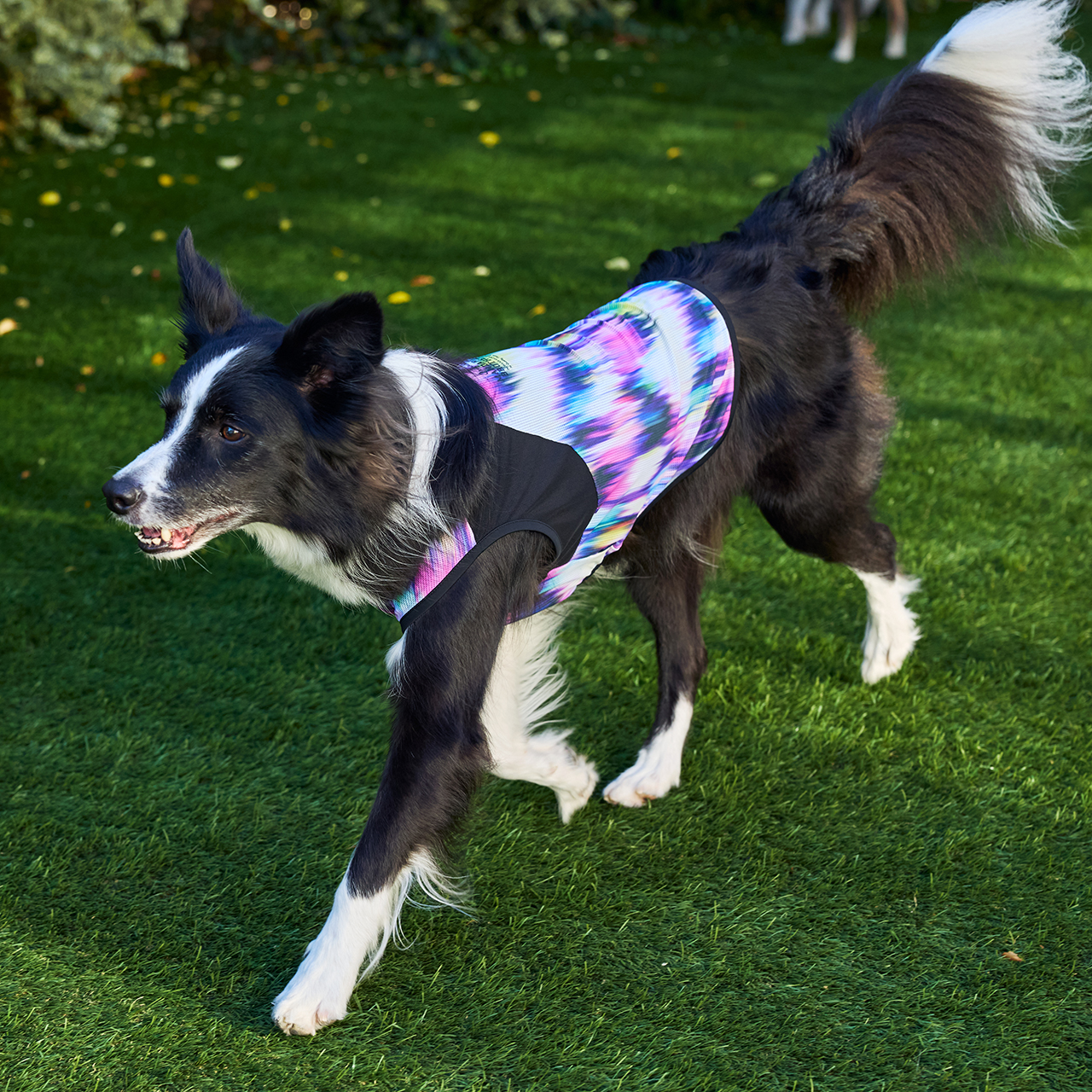 クールオーロラタンク