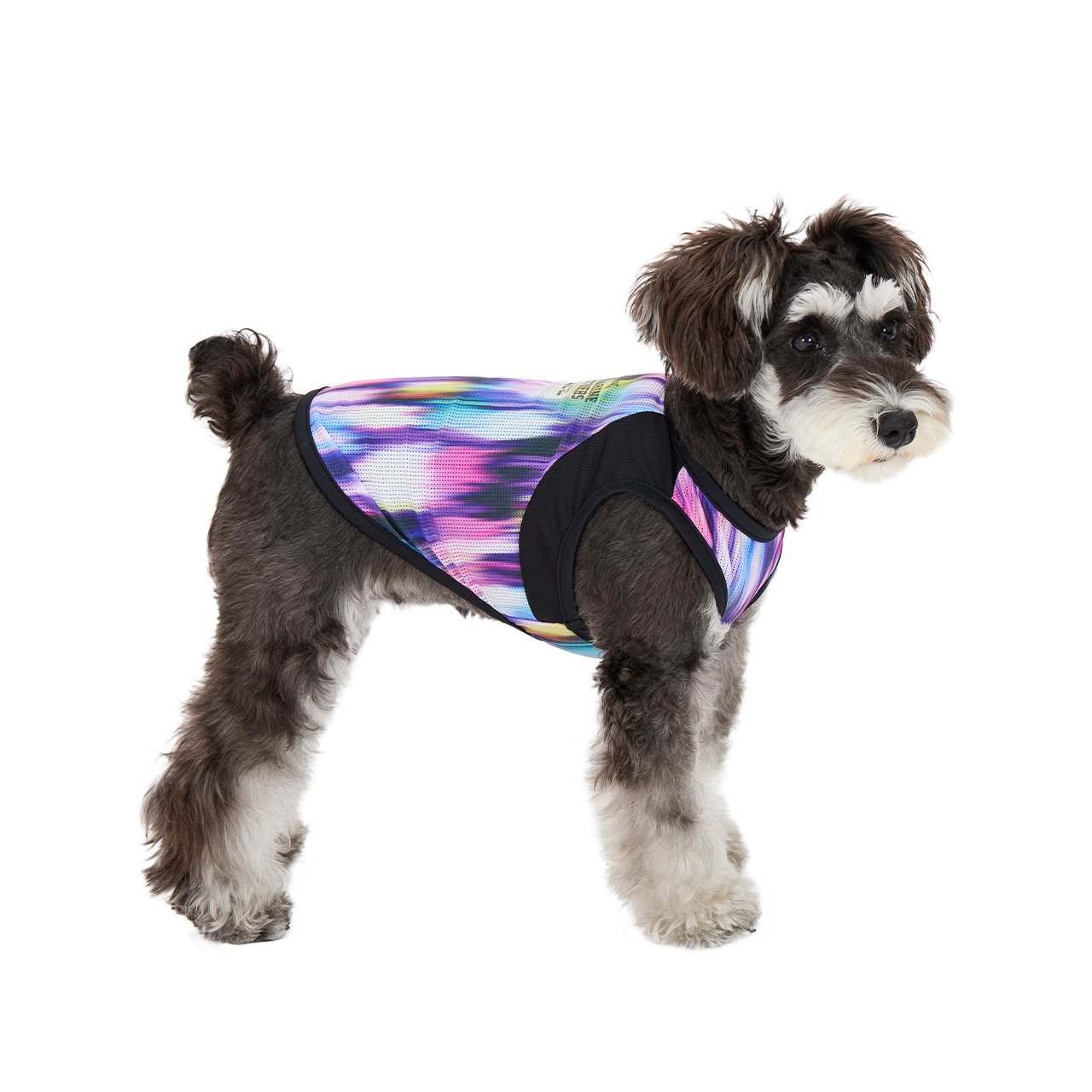 クールオーロラタンク