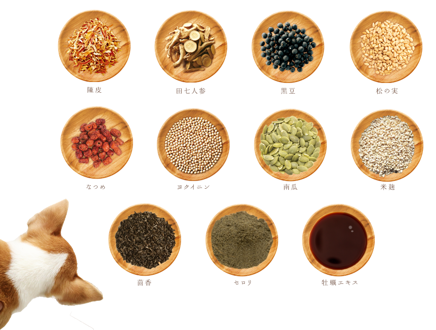 馬肉漢方ごはん800ｇ×3袋