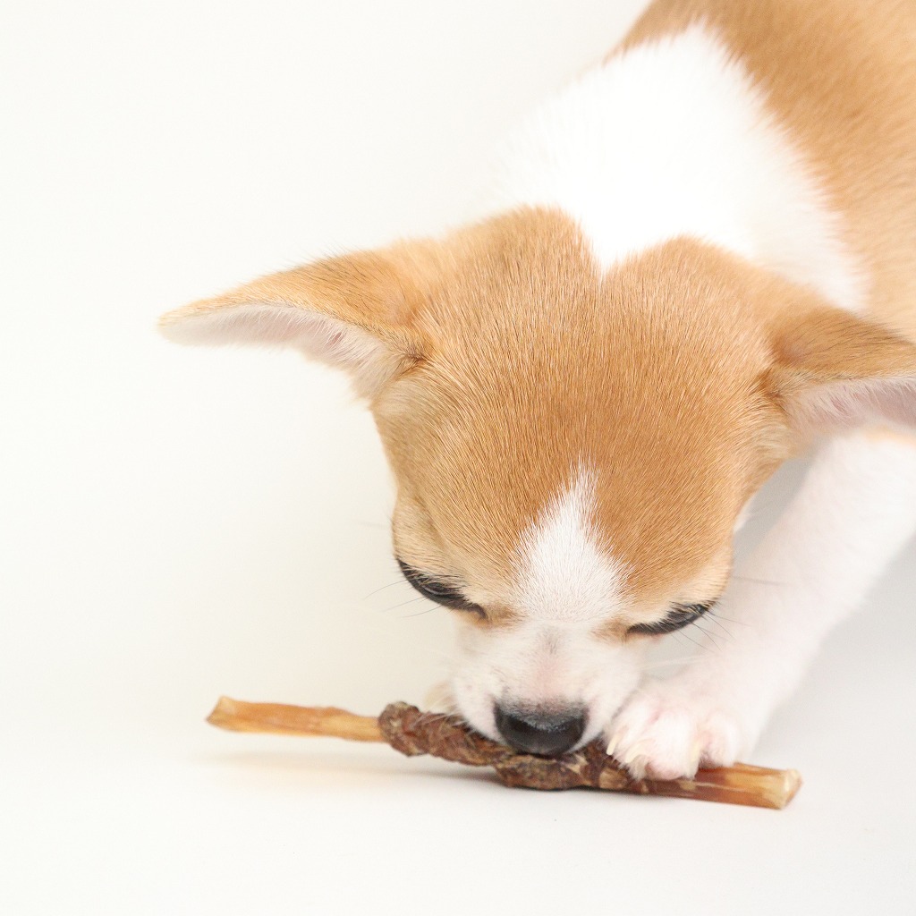 【大容量】馬肉に包まれた背筋くん 1kg